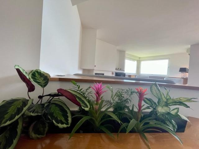 Casa Caponetti Villa Costa Volpino Dış mekan fotoğraf